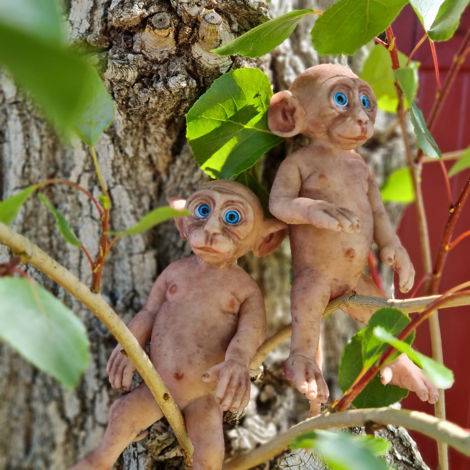 Monitos