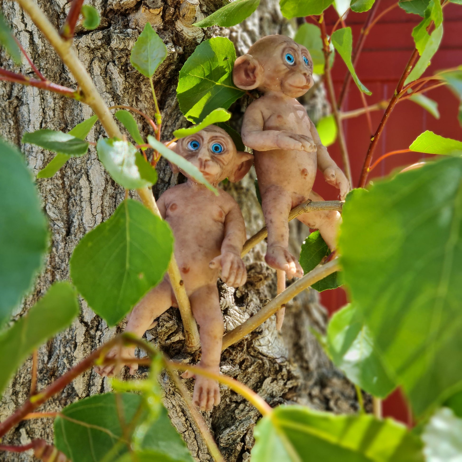 Monitos