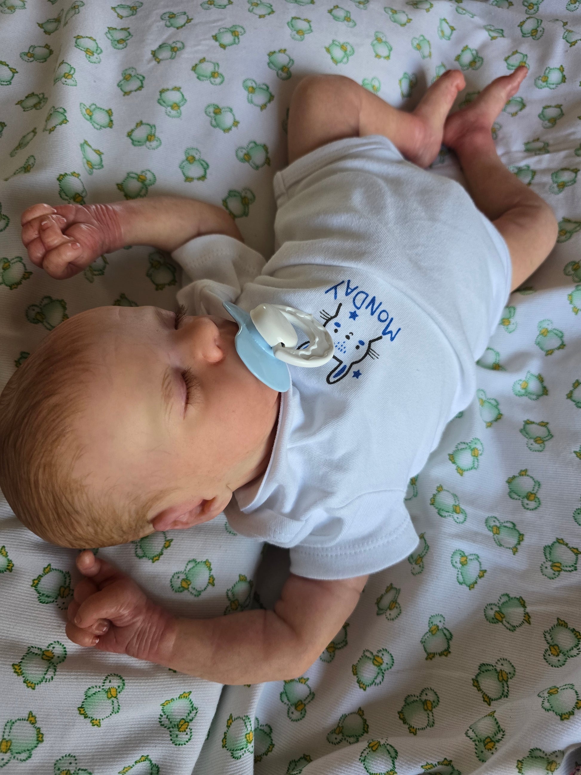 Bebe de vinilo,Leif